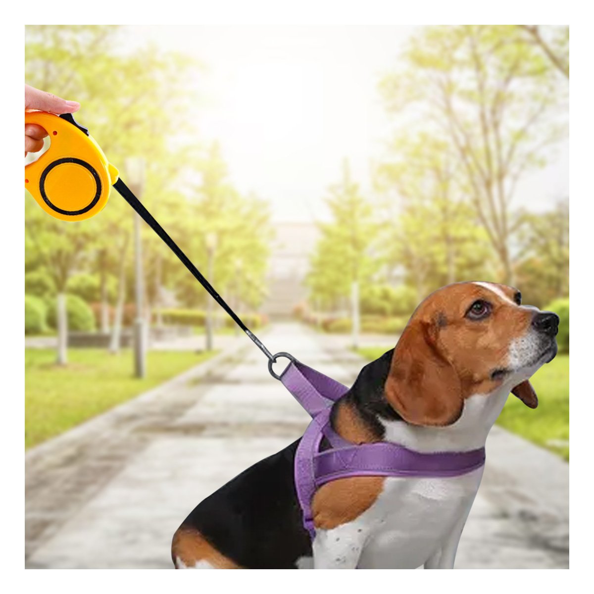 PACK4 SISTEMA DE SOGA EXTENSIBLE PARA MASCOTAS QUE GARANTIZA SEGURIDAD Y LIBERTAD AMARILLO - 2