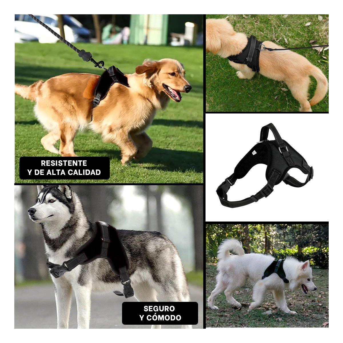 PECHERA EN H PARA PERRO TALLA S RESISTENTE Y COMODA PARA PASEOS DIARIOS NEGRO - 2