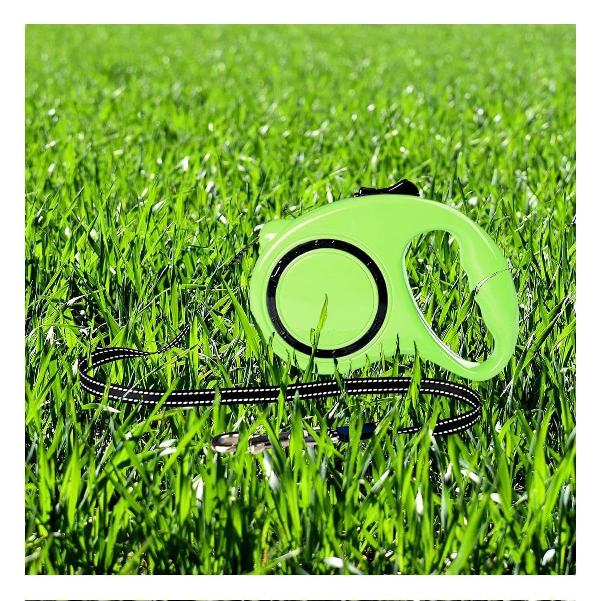 PACK4 ARTICULO PARA PERRO RETRACTIL VERDE LIMON CON DETALLE NEGRO YPAPEL REGALO - 5