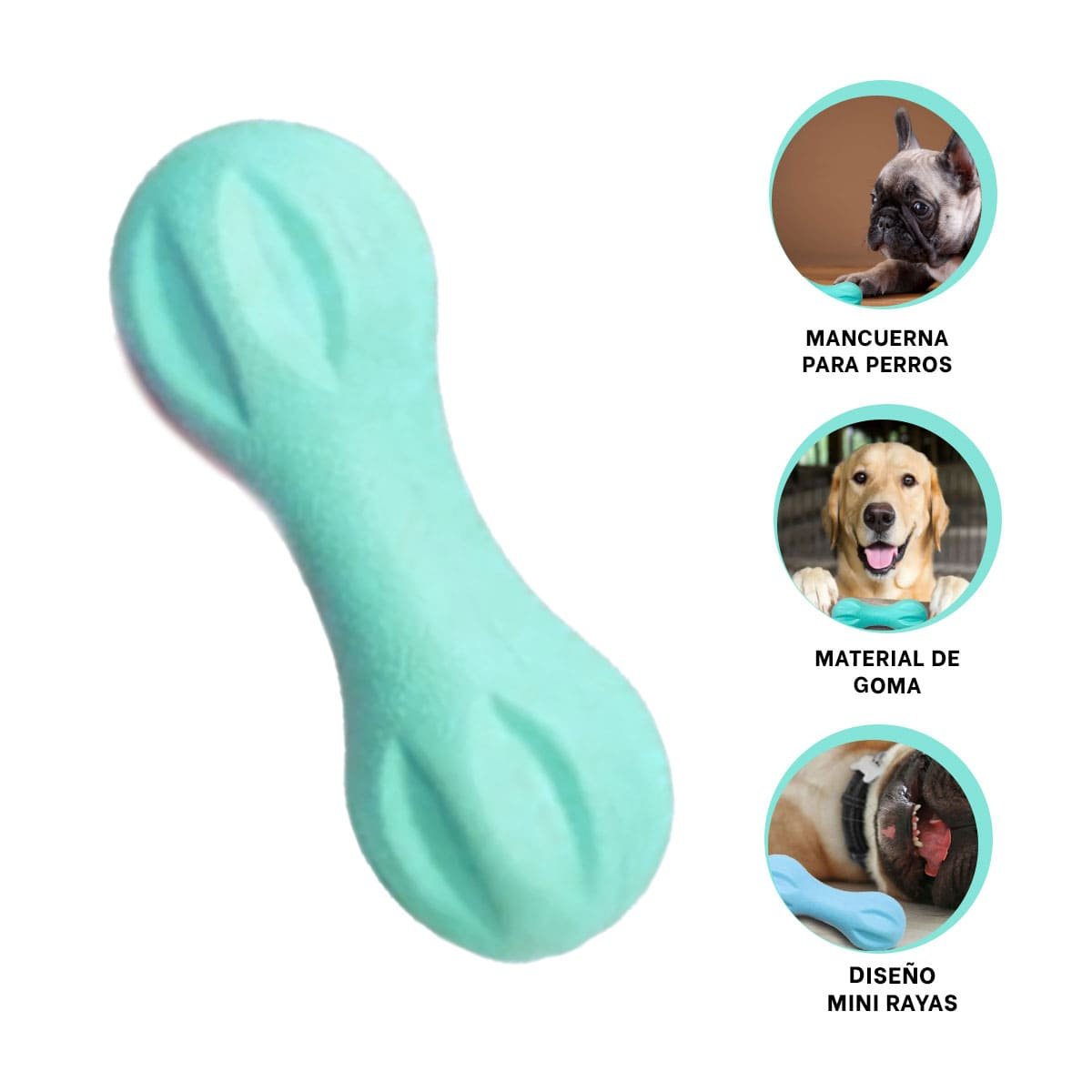COMPLEMENTO MANCUERNA DE MINI RAYAS VERDE MENTA PARA MASCOTA YSTICKY - 5