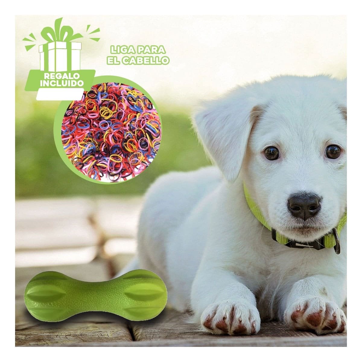 ARTICULO MANCUERNA DE MINI RAYAS VERDE MENTA PARA PERRO EN CASA YLIGAS REGALO - 2