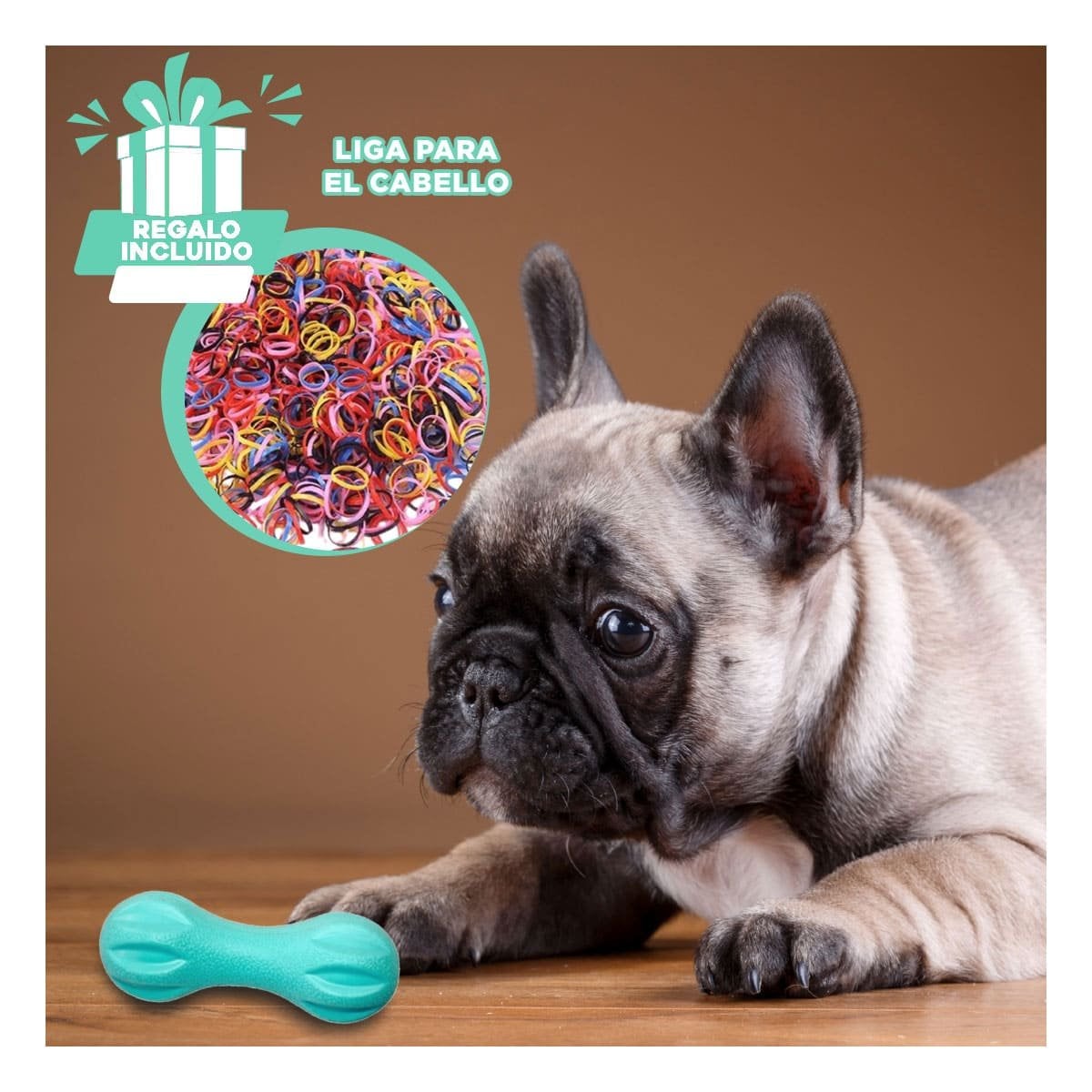 ARTICULO MANCUERNA DE MINI RAYAS VERDE MENTA PARA PERRO EN CASA YLIGAS REGALO - 2