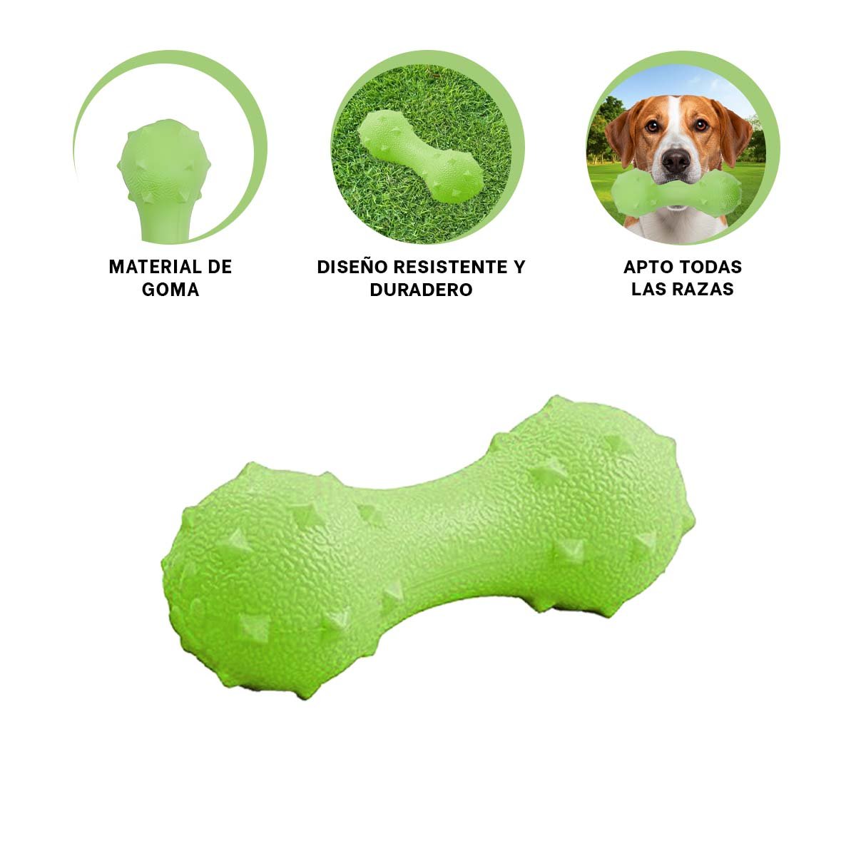 COMPLEMENTO MANCUERNA DE PUAS VERDE MENTA PARA MASCOTA FIRME YSTICKY - 5