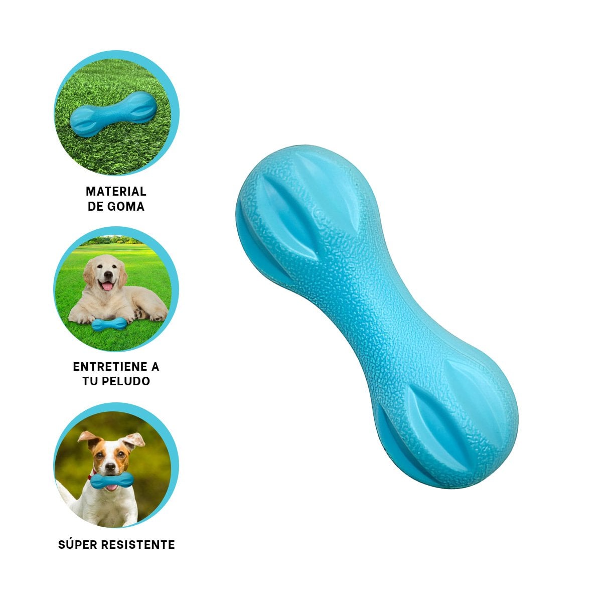 COMPLEMENTO MANCUERNA DE MINI RAYAS CELESTE PARA MASCOTA ACTIVA YSTICKY - 5