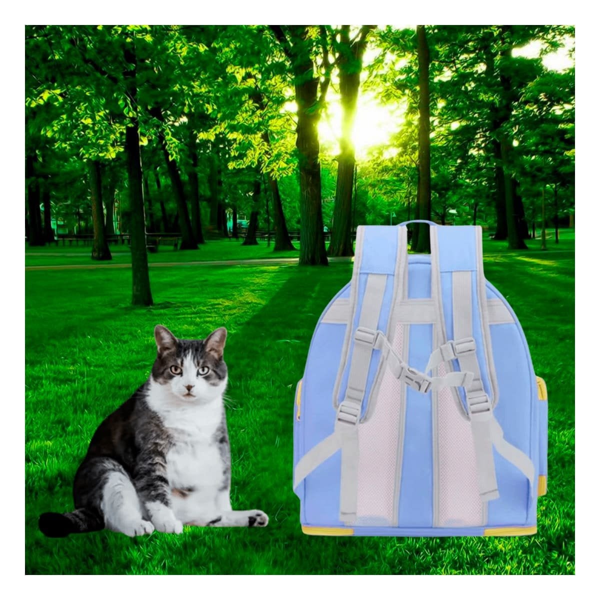 PACK4 TRANSPORTADORA DE NAVE ESPACIAL AZUL CON APERTURA PANORAMICA Y COMODA YREGALO STICKER - 5