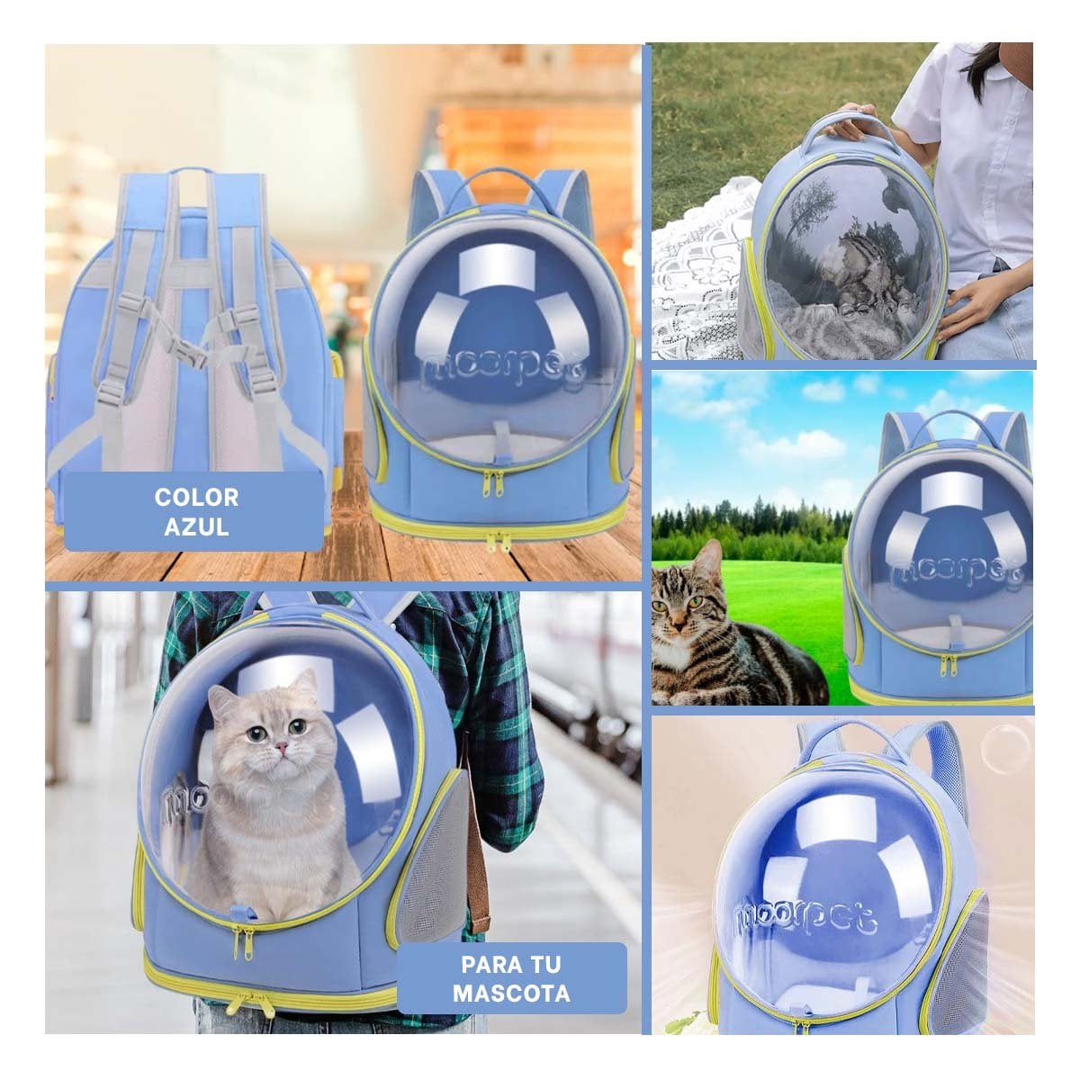 PACK2 TRANSPORTADORA AZUL CON NAVE ESPACIAL Y ESPACIO INTERIOR PANORAMICO YPAPEL REGALO - 3