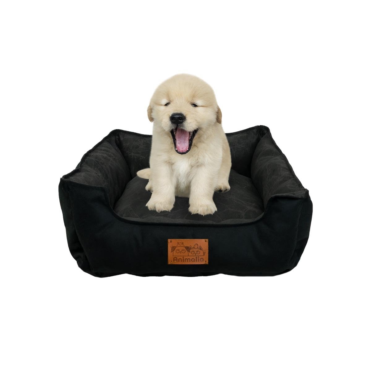LECHO PARA PERRO TALLA S NEGRO LISO CON CENTRO NEGRO YLIGAS REGALO - 5