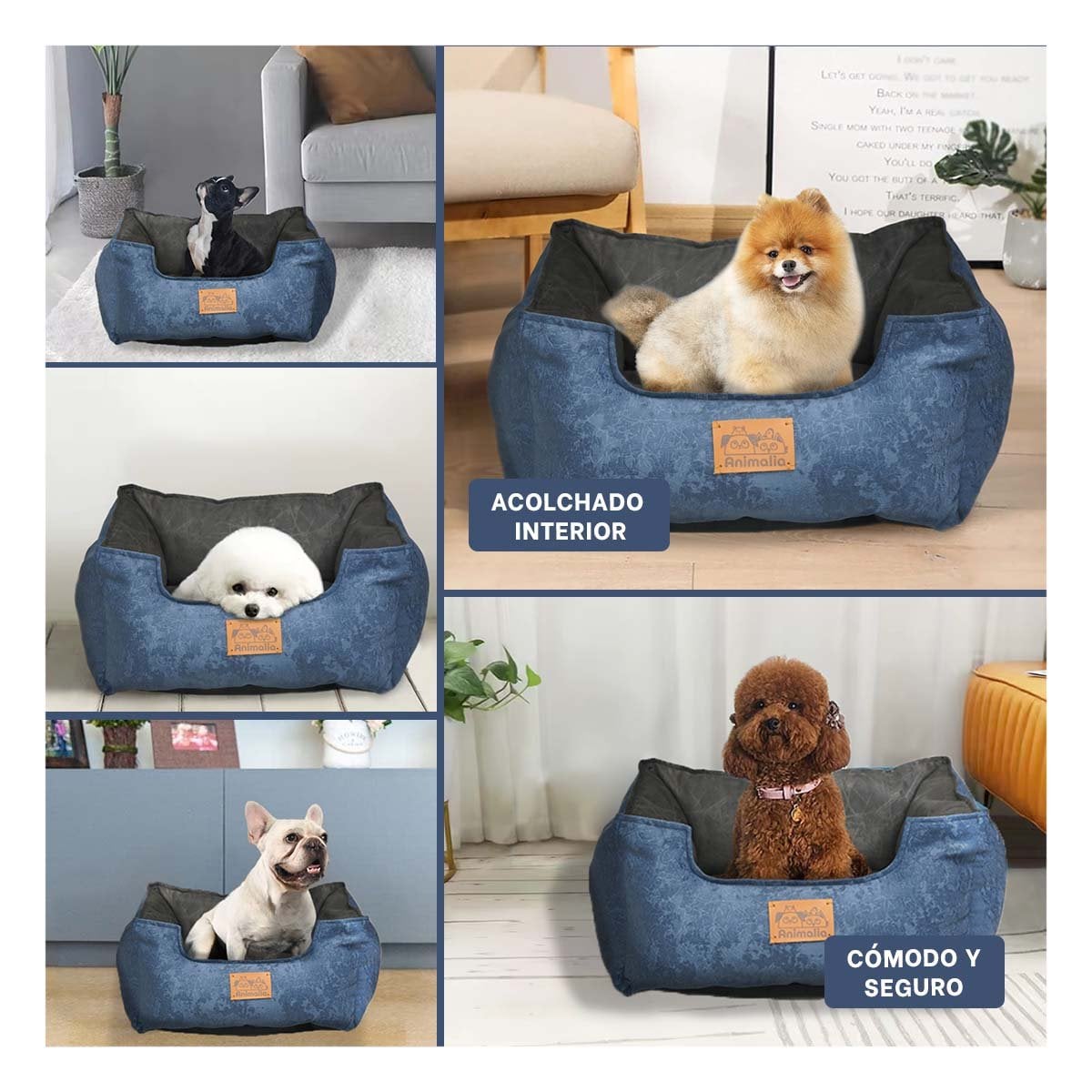PACK4 ZONA DE DESCANSO PARA PERRO TALLA M AZUL CENTRO NEGRO YREGALO STICKER - 2