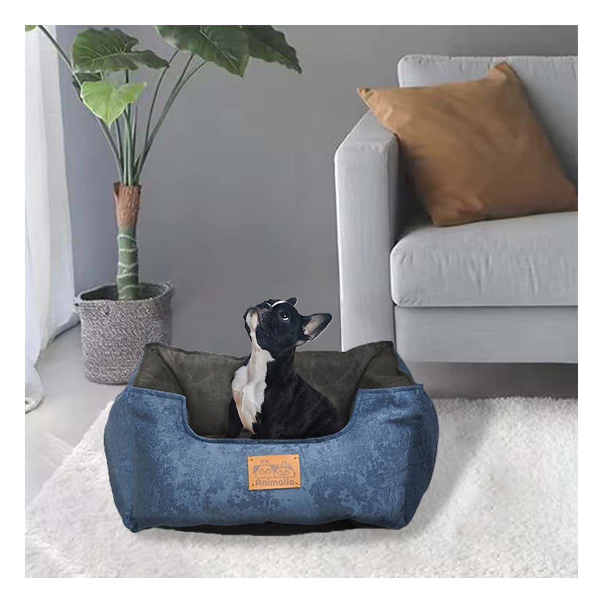 PACK4 ZONA DE DESCANSO PARA PERRO TALLA M AZUL CENTRO NEGRO YREGALO STICKER - 5