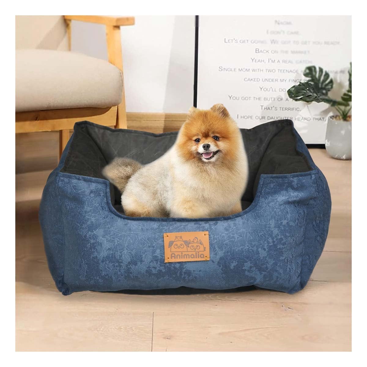 PACK4 SUPERFICIE ACOLCHADA PARA PERRO TALLA M AZUL CENTRO NEGRO - 2
