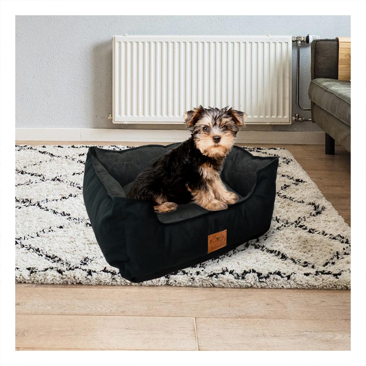 PACK2 BASE ACOLCHADA PARA PERRO TALLA S NEGRO CON CENTRO NEGRO - 2