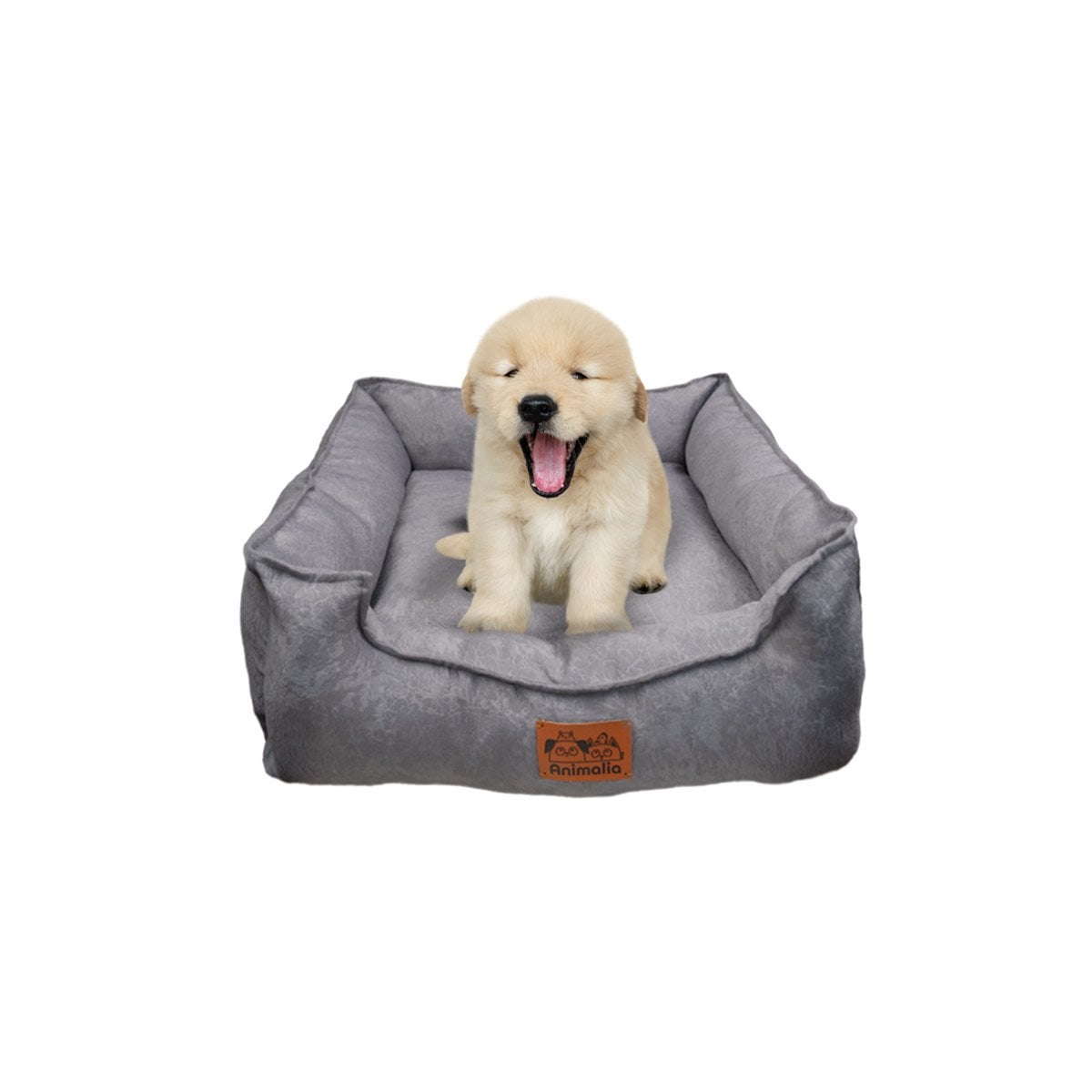 PACK4 AREA DE CONFORT PARA PERRO TALLA S PLOMO COMPLETO YPAPEL REGALO - 3