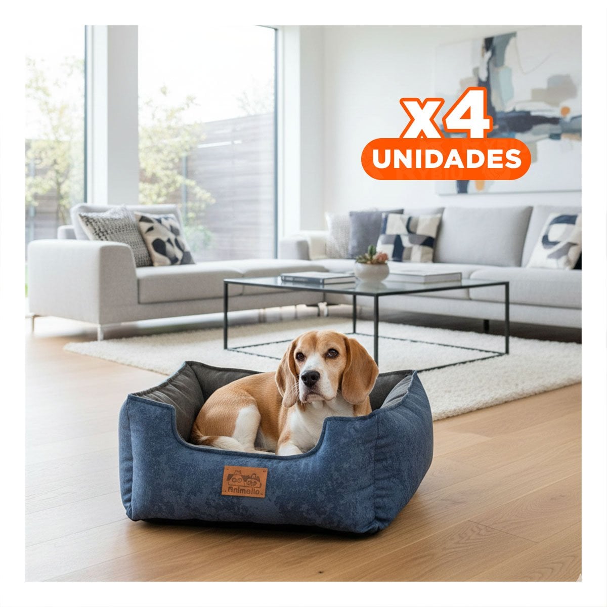 PACK4 AREA DE CONFORT PARA PERRO TALLA M AZUL CENTRO NEGRO YPAPEL REGALO - 1