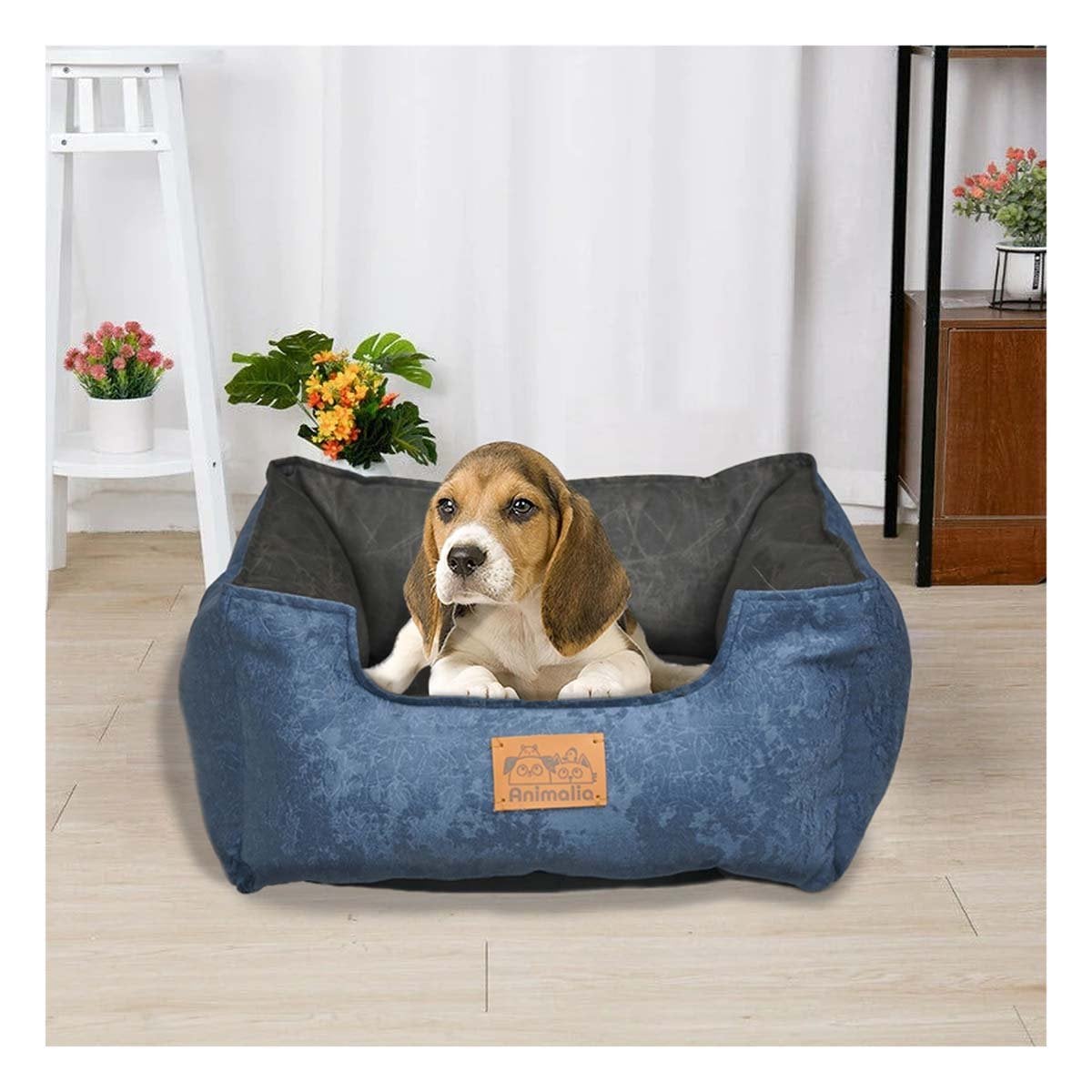 PACK4 AREA DE CONFORT PARA PERRO TALLA M AZUL CENTRO NEGRO YPAPEL REGALO - 2