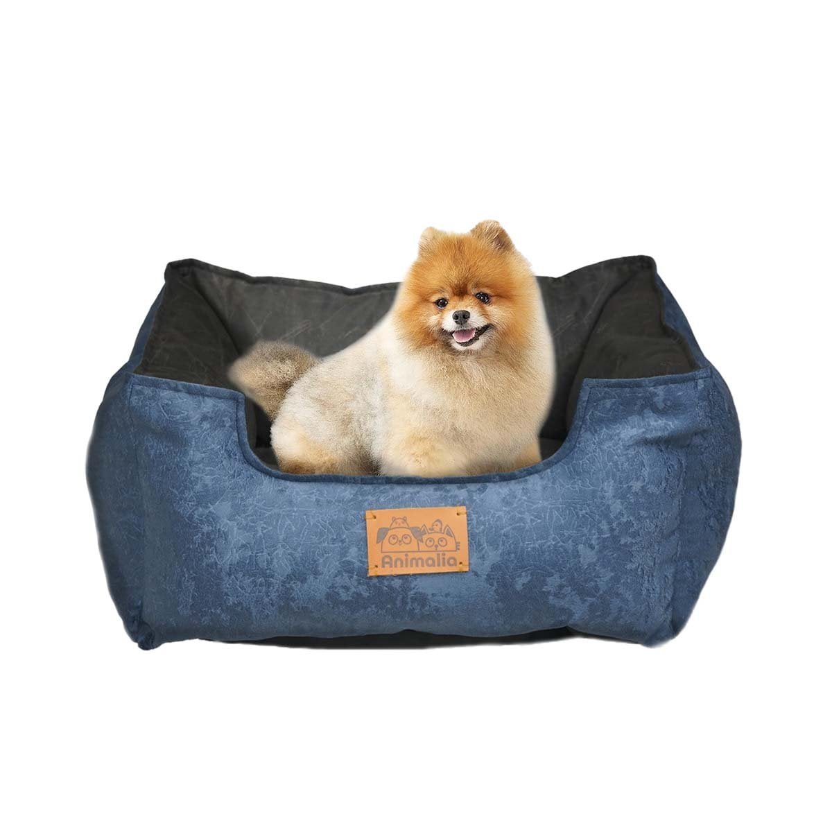 PACK4 AREA DE CONFORT PARA PERRO TALLA M AZUL CENTRO NEGRO YPAPEL REGALO - 3