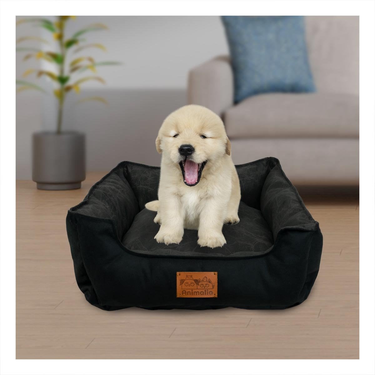 PACK2 ESPACIO DE DESCANSO PARA PERRO TALLA S NEGRO CENTRO NEGRO YPAPEL REGALO - 5
