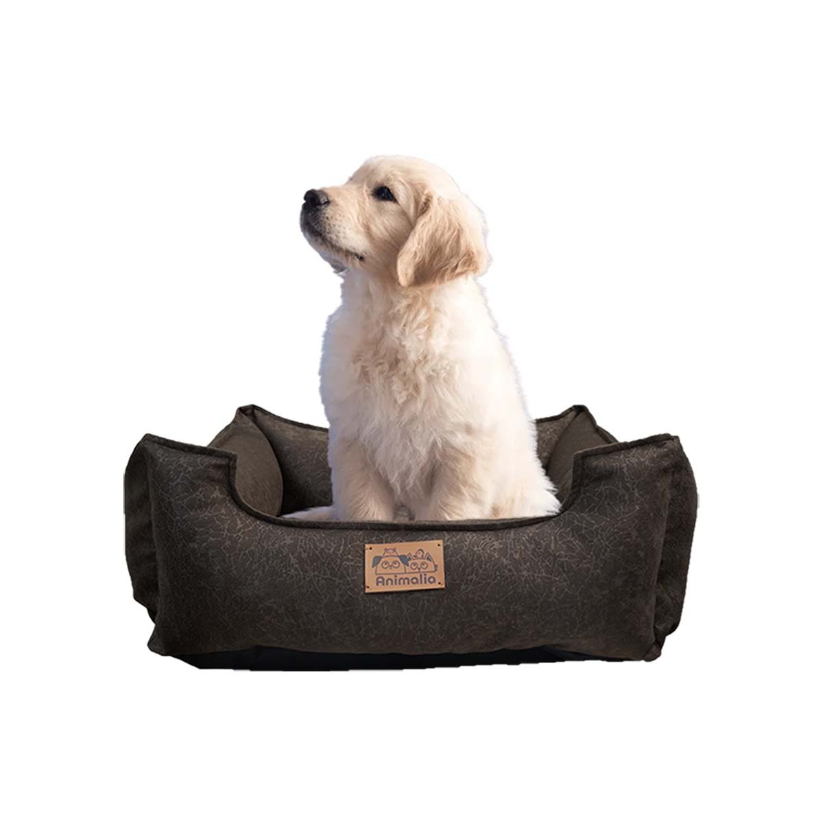 PACK4 AREA DE CONFORT PARA PERRO TALLA S MARRON COMPLETO YPAPEL REGALO - 3