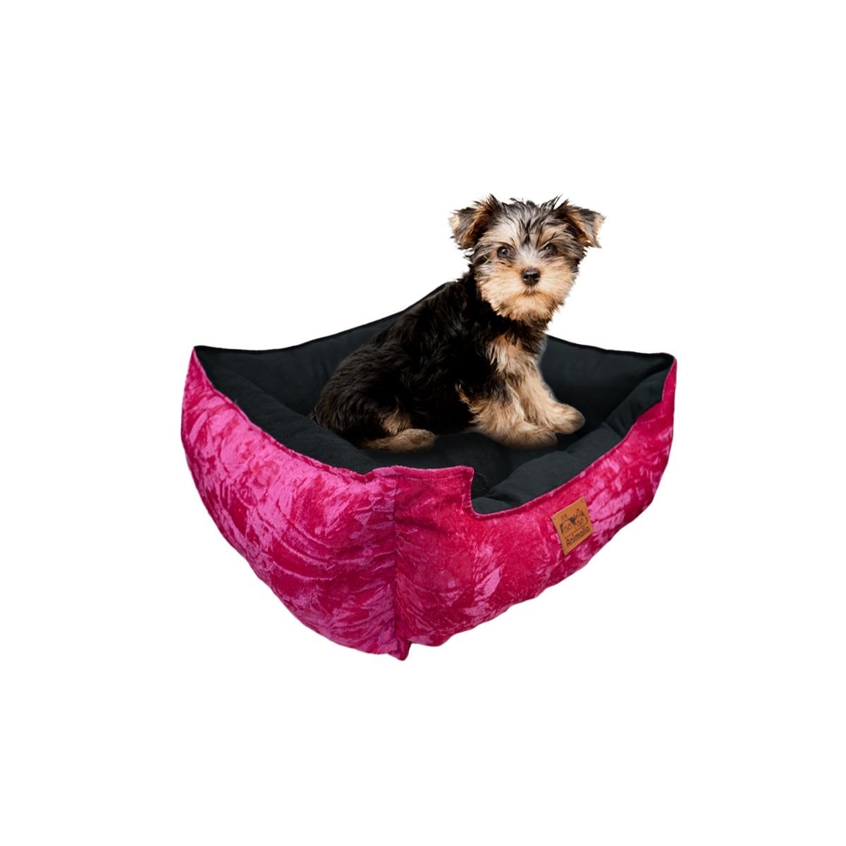 PACK4 AREA DE CONFORT PARA PERRO TALLA S FUCSIA CENTRO NEGRO YPAPEL REGALO - 3