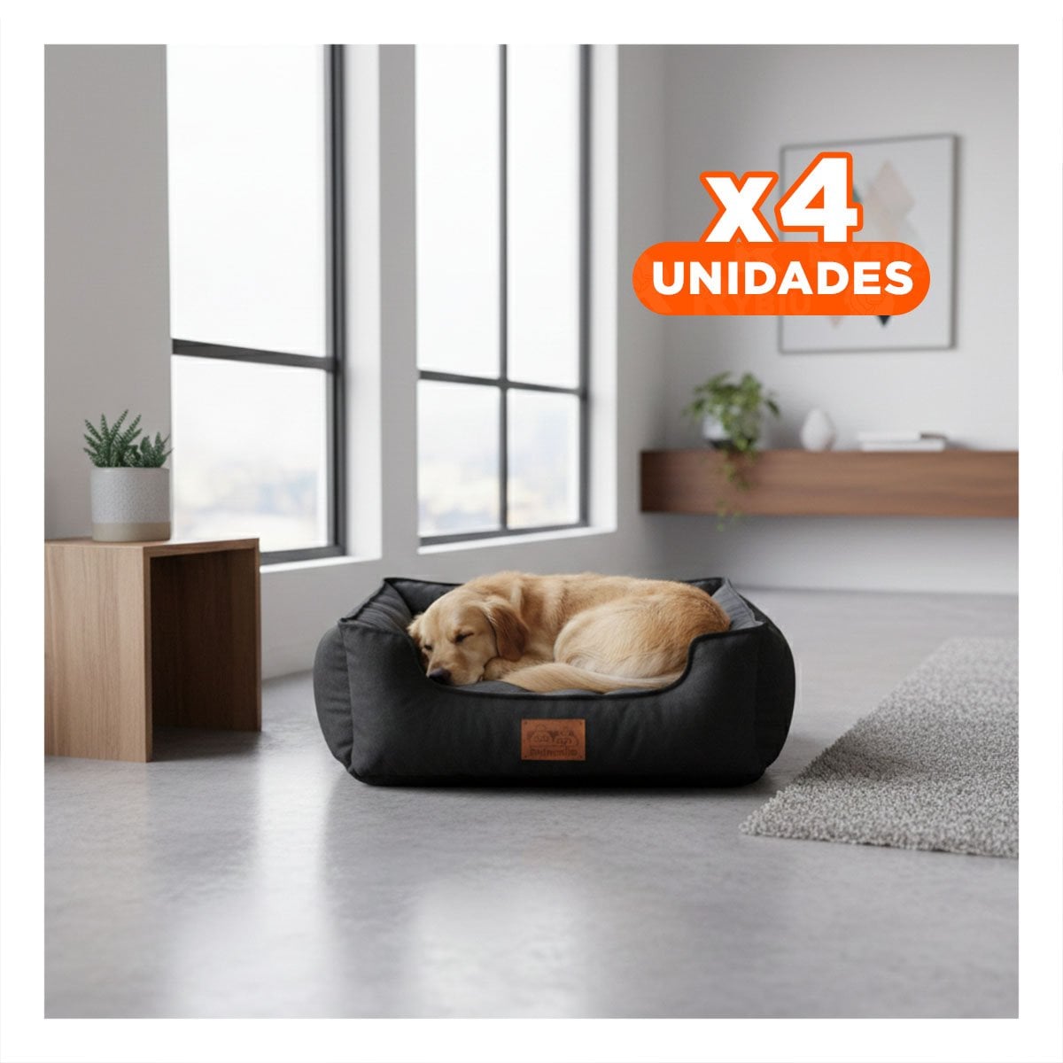 PACK4 ZONA DE DESCANSO PARA PERRO TALLA S NEGRO CENTRO NEGRO YREGALO STICKER - 1