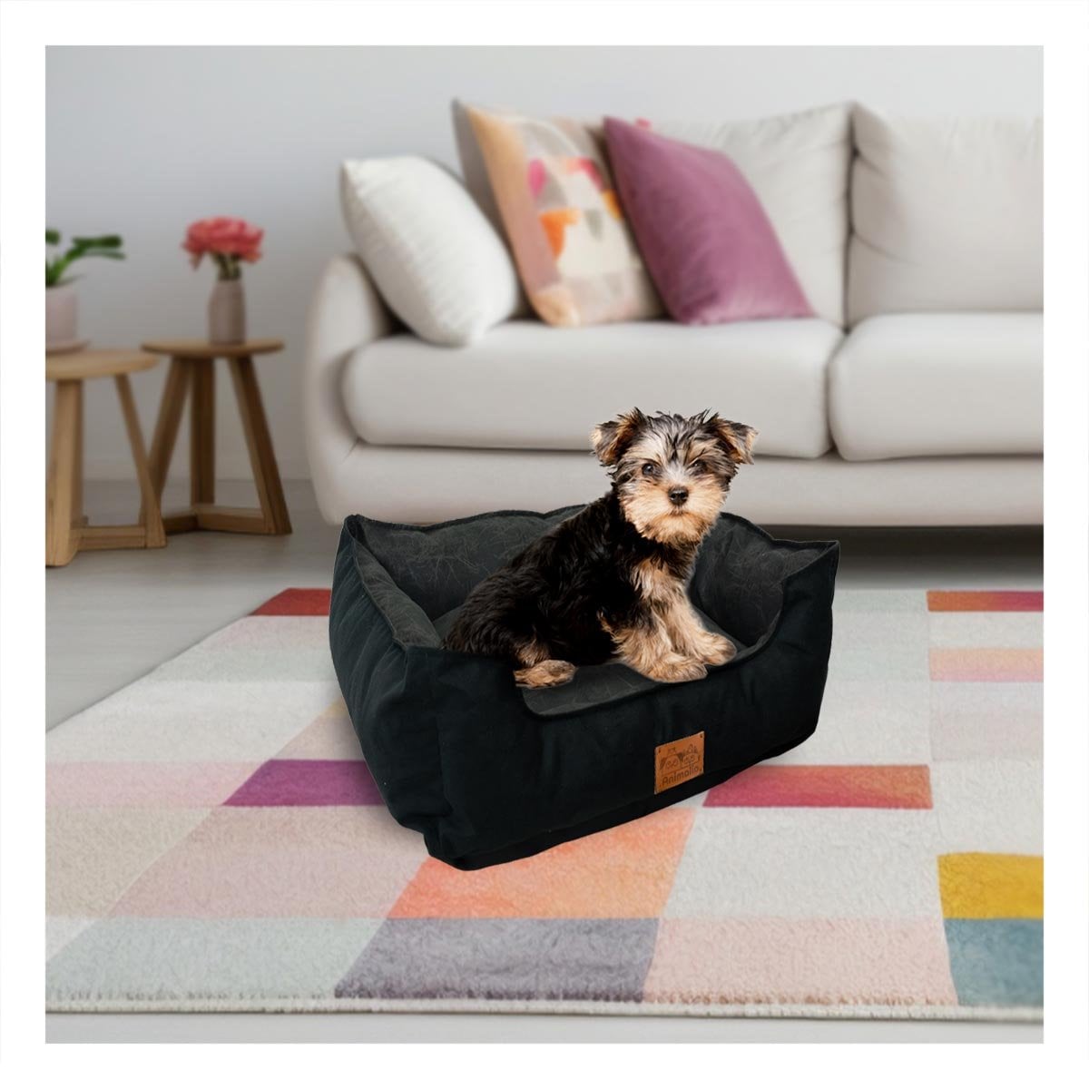 PACK4 ZONA DE DESCANSO PARA PERRO TALLA S NEGRO CENTRO NEGRO YREGALO STICKER - 5