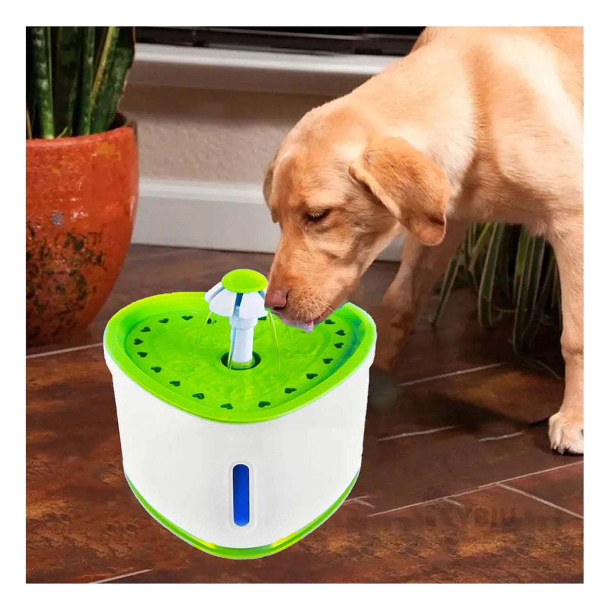 PACK4 FUENTE DE AGUA CORAZON PET VERDE DE PLASTICO MUY ESTABLE - 2