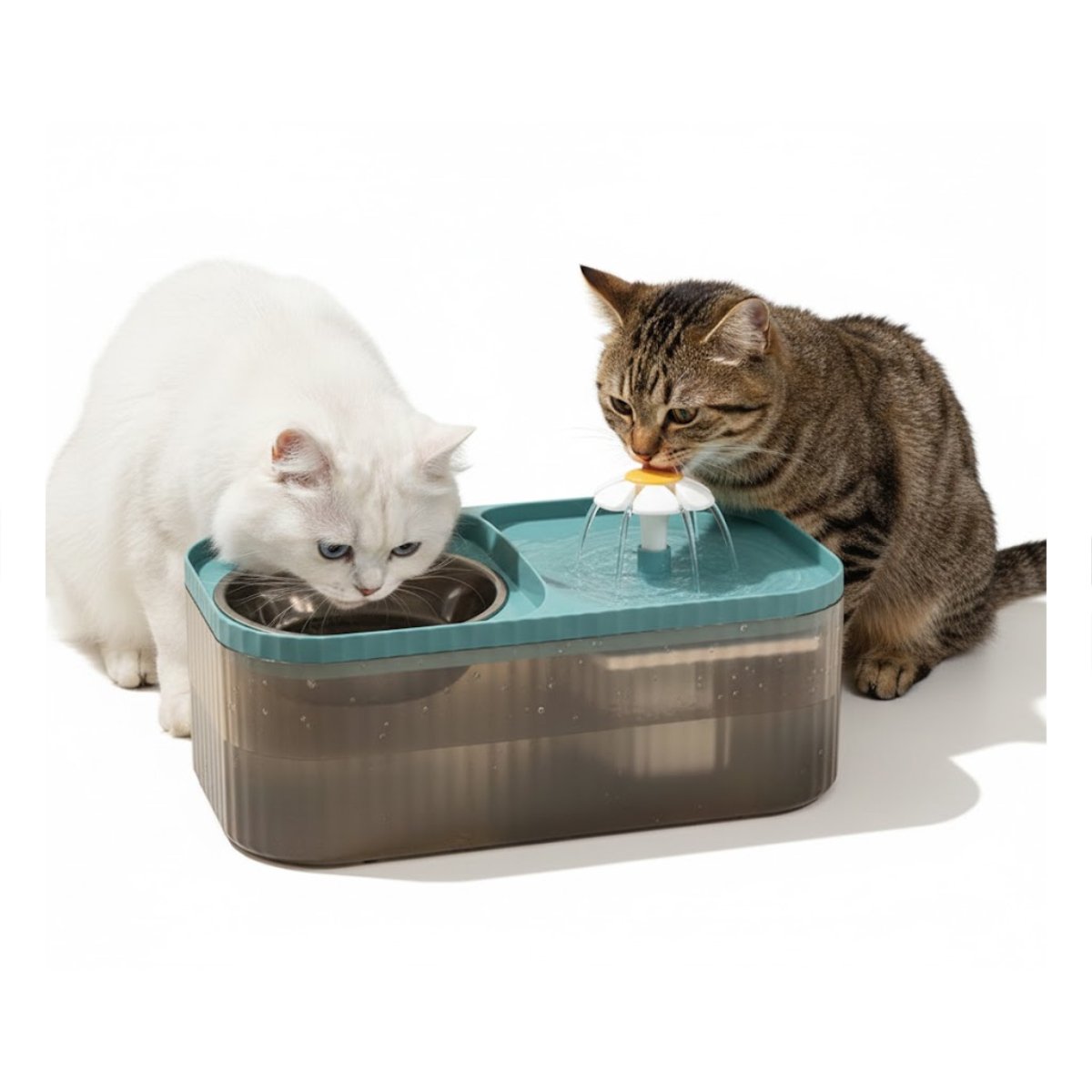 PLATO DOBLE RECTANGULAR CELESTE PARA NUTRIR A SU MASCOTA CON CALMA YPAPEL REGALO - 5
