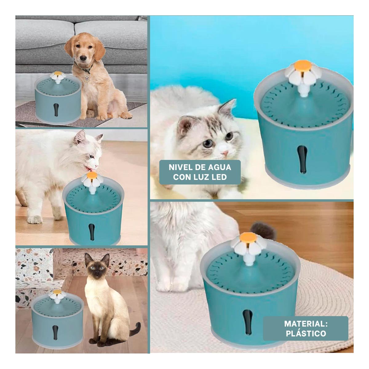 FUENTE DE AGUA CIRCULAR PET AZUL ACERO DE PLASTICO PARA HIDRATACION CON MUCHA CALMA - 2