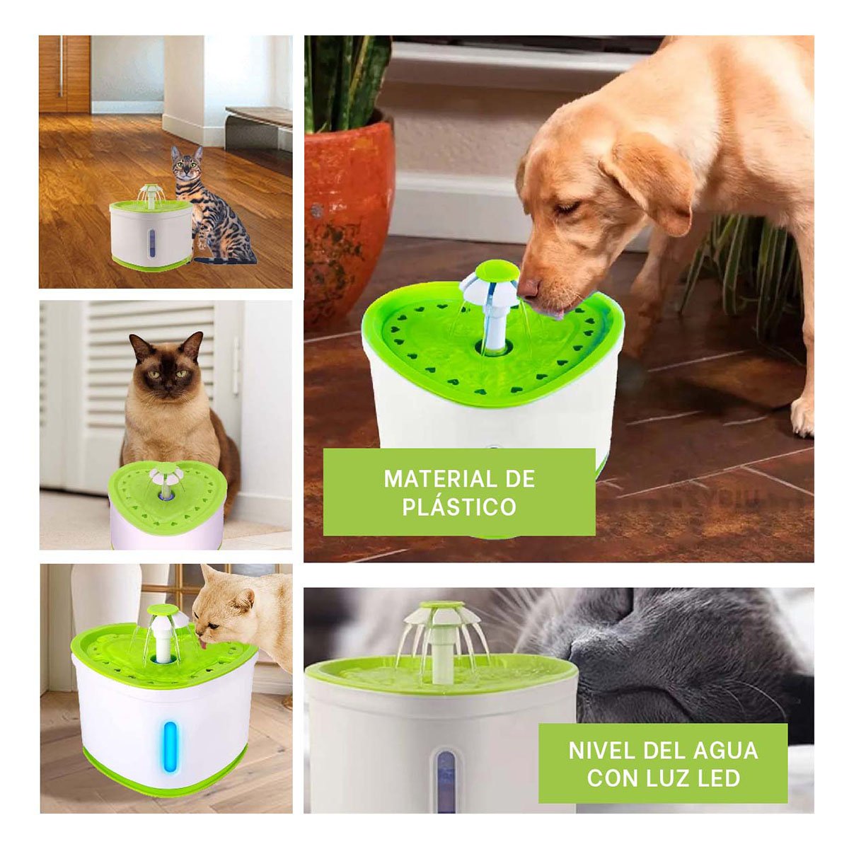 BEBEDERO CON FORMA DE CORAZON VERDE PARA EL CARIÑO DE SU FAMILIA YPAPEL REGALO - 3