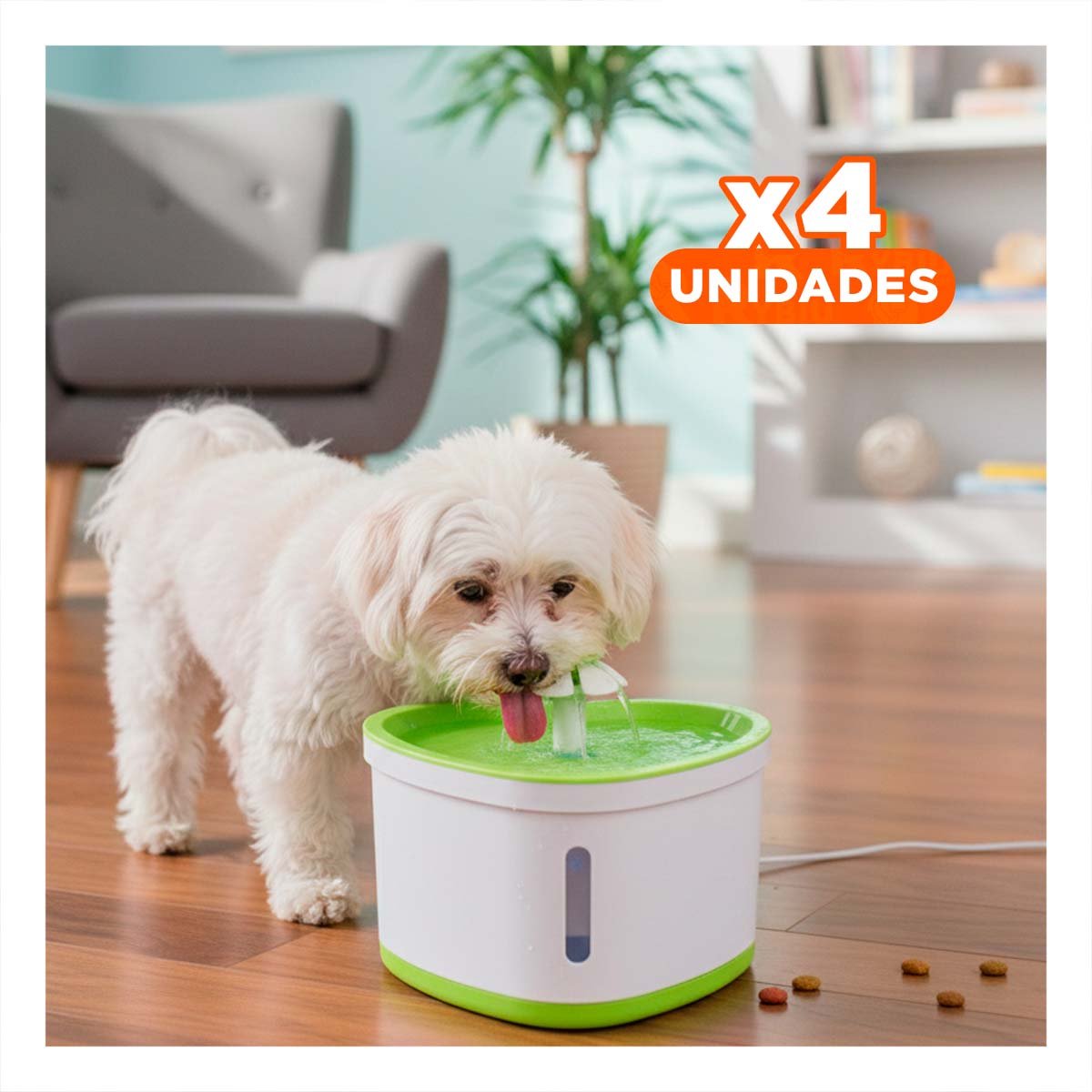 PACK4 BEBEDERO CON FORMA DE CORAZON VERDE PARA LA SED DE SU MASCOTA YPAPEL REGALO - 1