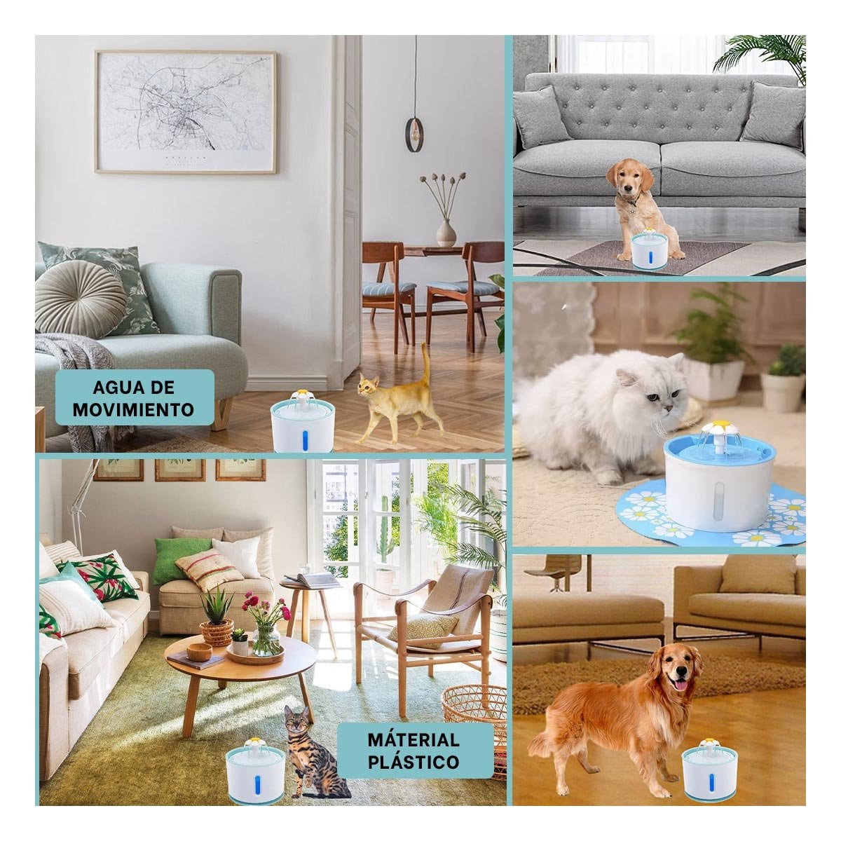 PACK2 MANANTIAL DE POLIPROPILENO PET BLANCO CELESTE PARA SU DIARIO USO YPAPEL REGALO - 3