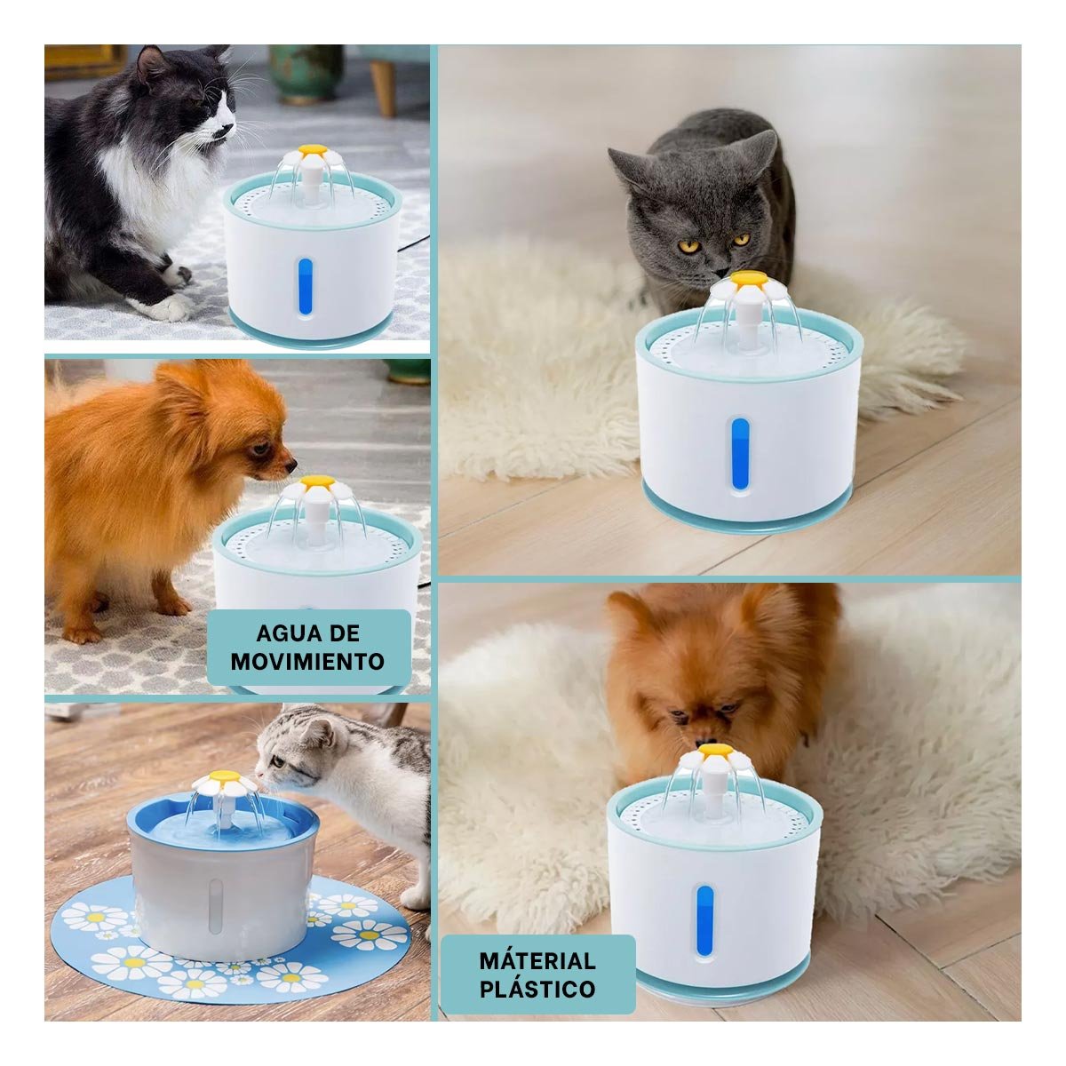 PACK4 MANANTIAL DE POLIPROPILENO PET BLANCO CELESTE CON BOMBA DE MUCHA FUERZA YREGALO STICKER - 2