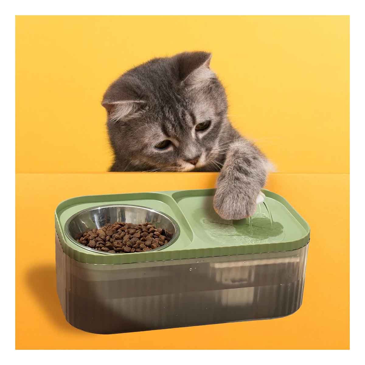 PACK2 PLATO DOBLE RECTANGULAR VERDE PARA ORGANIZAR LAS RACIONES EN CASA - 5