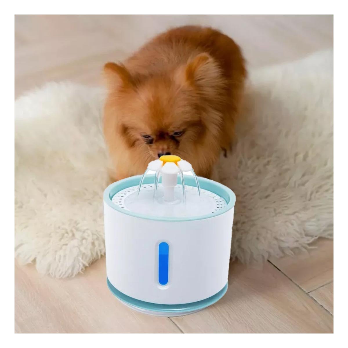 FUENTE DE AGUA CIRCULAR PET BLANCO CELESTE DE PLASTICO PARA HIDRATACION CON MUCHA CALMA - 5