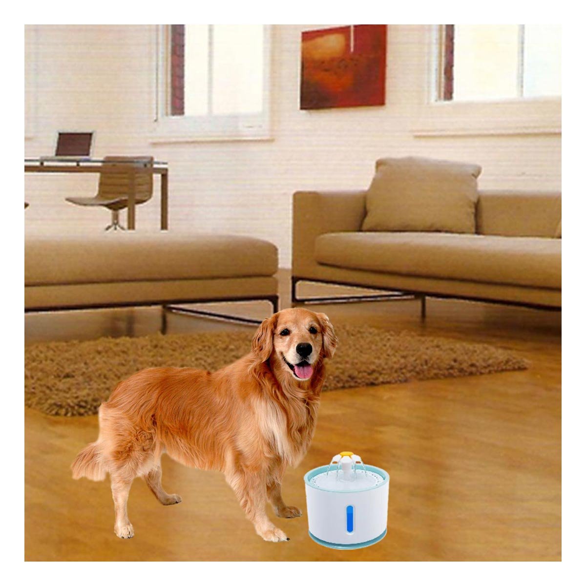 PACK4 FUENTE DE AGUA CIRCULAR PET BLANCO CELESTE DE PLASTICO MUY ESTABLE - 2