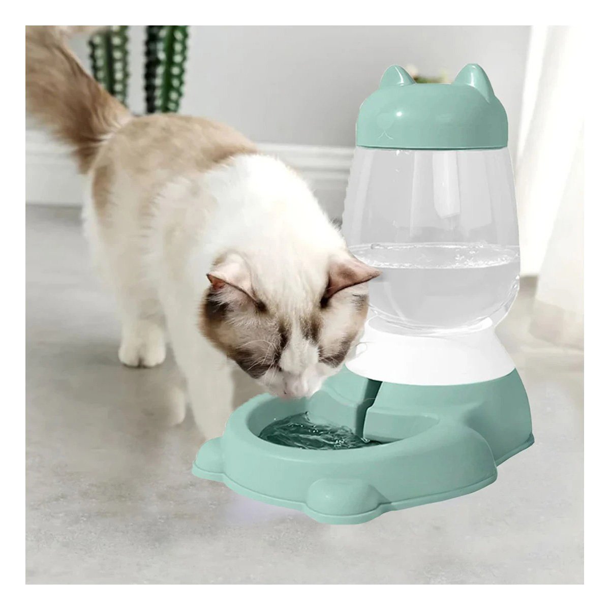 PACK4 FUENTE CONFORTABLE VERDE CON BIDON AUTOMATICO Y GATO QUE APORTA REPOSO YREGALO STICKER - 3
