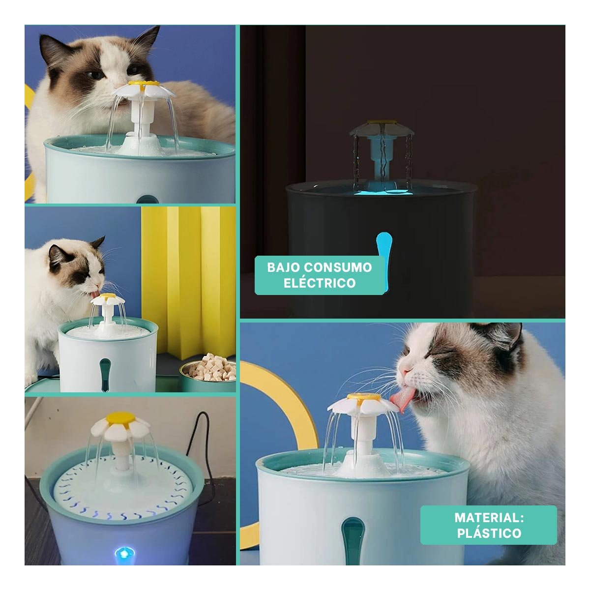 FUENTE DE AGUA CIRCULAR PET VERDE DE PLASTICO PARA HIDRATACION CON MUCHA CALMA - 2