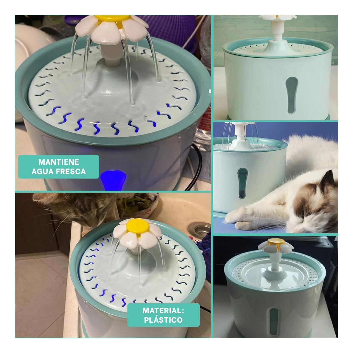 FUENTE DE AGUA CIRCULAR PET VERDE DE PLASTICO DE CALIDAD REAL YSTICKY - 2