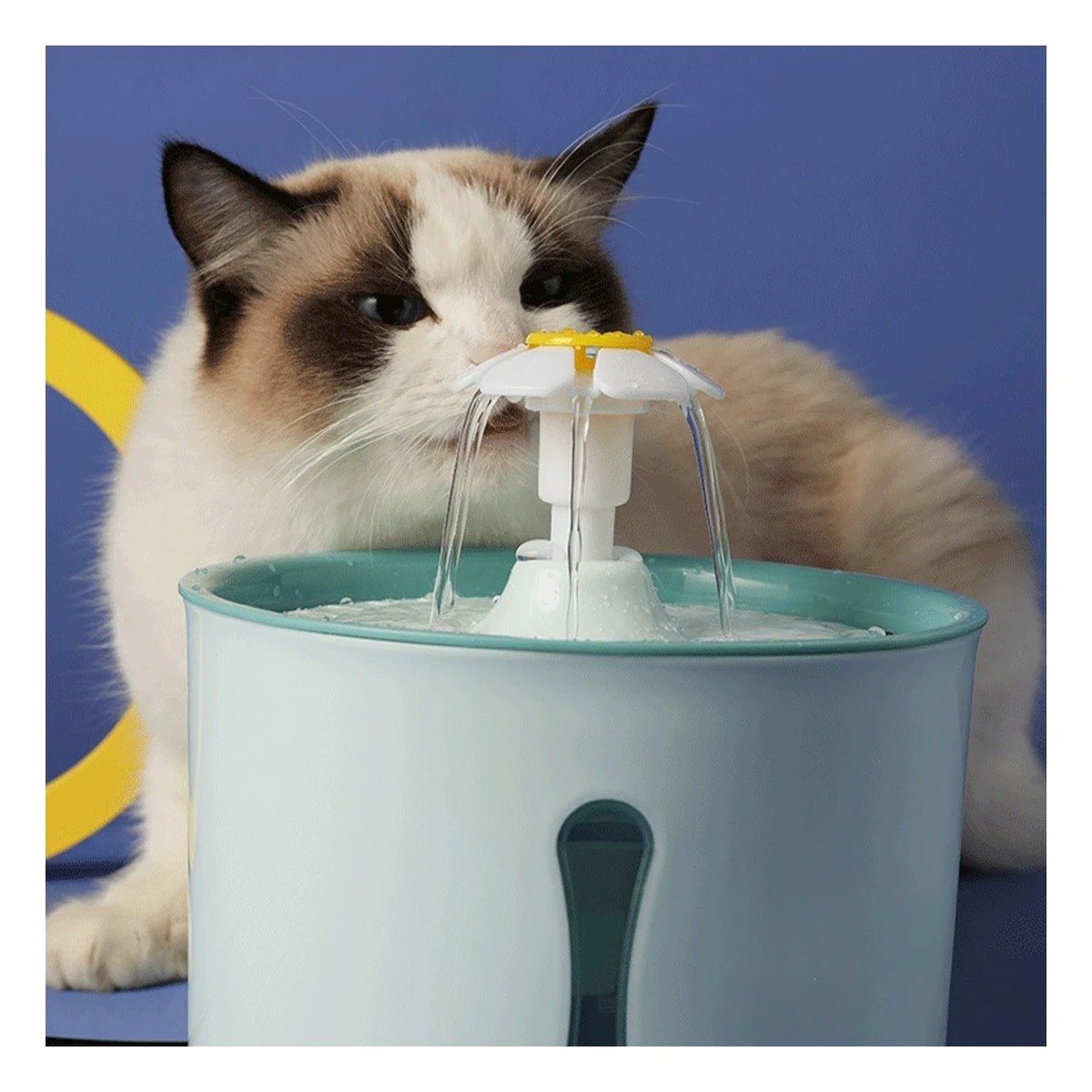 PACK4 BEBEDERO CIRCULAR DE RESINA VERDE PARA LA SED DE SU MASCOTA YPAPEL REGALO - 2