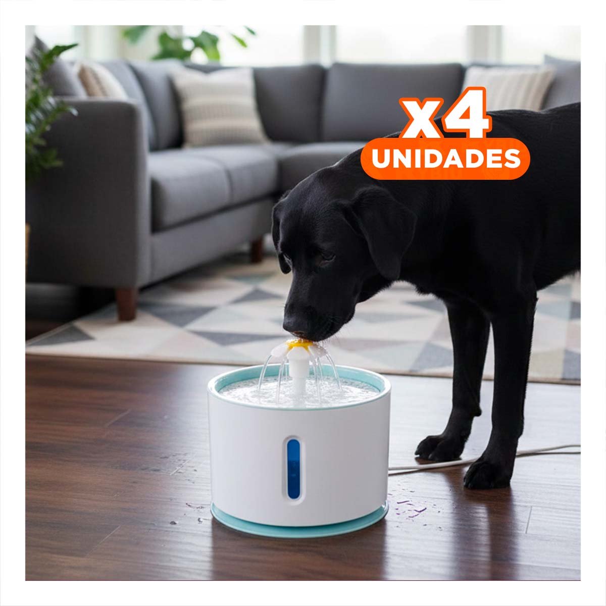 PACK4 BEBEDERO CIRCULAR DE RESINA BLANCO CELESTE PARA LA SED DE SU MASCOTA YPAPEL REGALO - 1