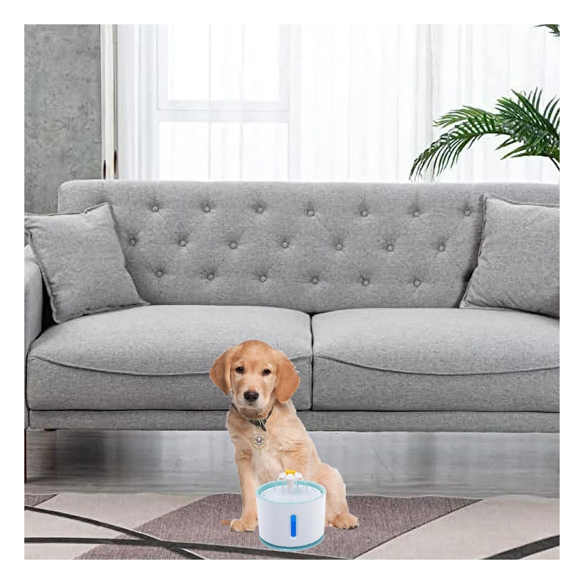 PACK4 BEBEDERO CIRCULAR DE RESINA BLANCO CELESTE PARA LA SED DE SU MASCOTA YPAPEL REGALO - 2