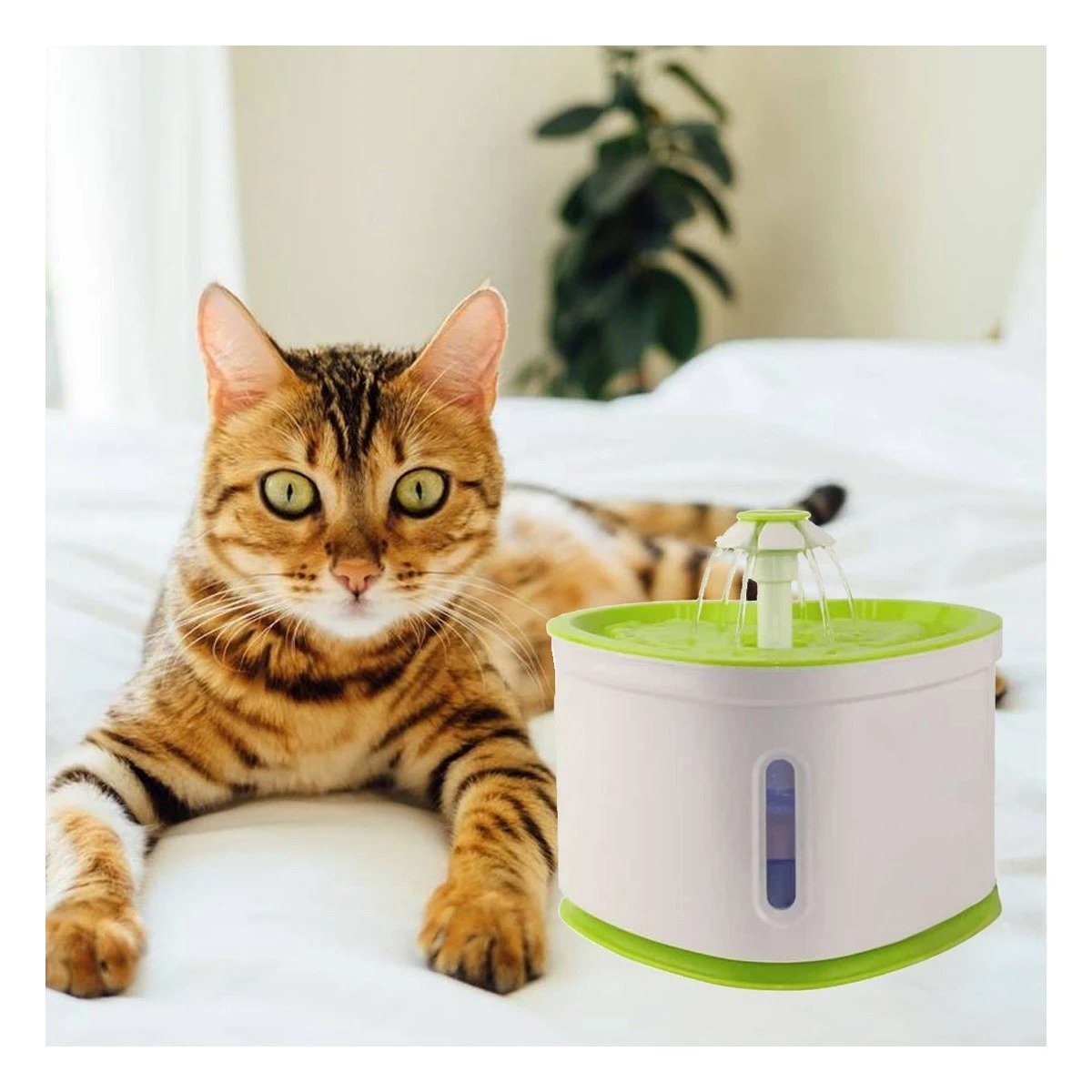 FUENTE DE AGUA CORAZON PET VERDE DE PLASTICO PARA HIDRATACION CON MUCHA CALMA - 3