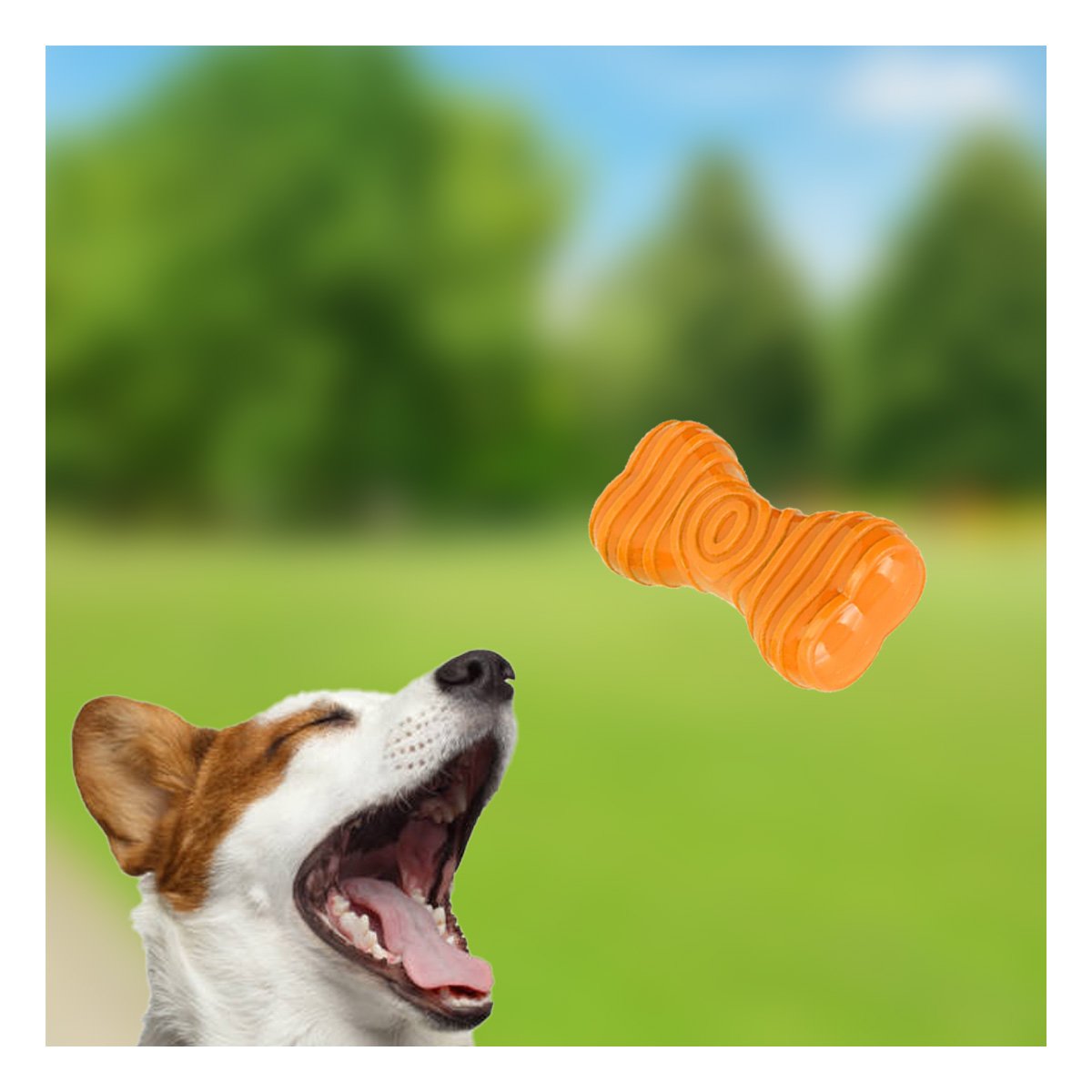 JUGUETE EN NARANJA CON FORMA HUESO CON RAYAS QUE FACILITA ESPACIOS DEFINIDOS YPAPEL REGALO - 1