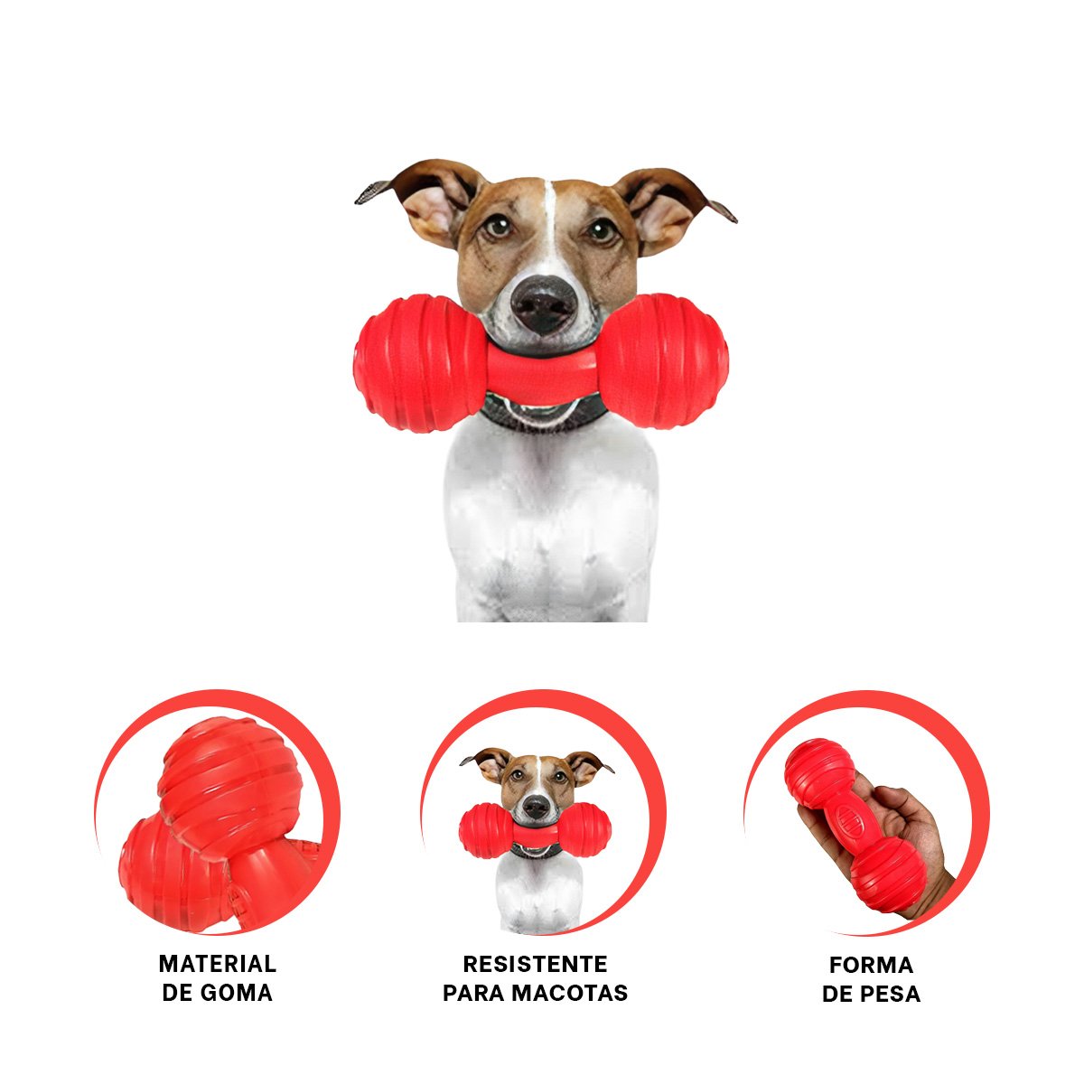 JUGUETE CANINO HUESO CON BOLAS A RAYAS EN COLOR ROJO EN AMBIENTES BIEN DELIMITADOS YSTICKY - 5