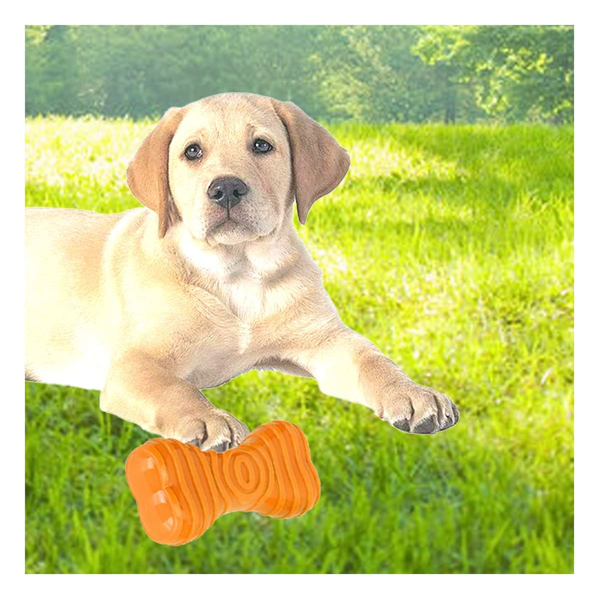 JUGUETE HUESO CON RAYAS EN COLOR NARANJA PARA MANTENER AREAS DE MASCOTA EN ORDEN - 5