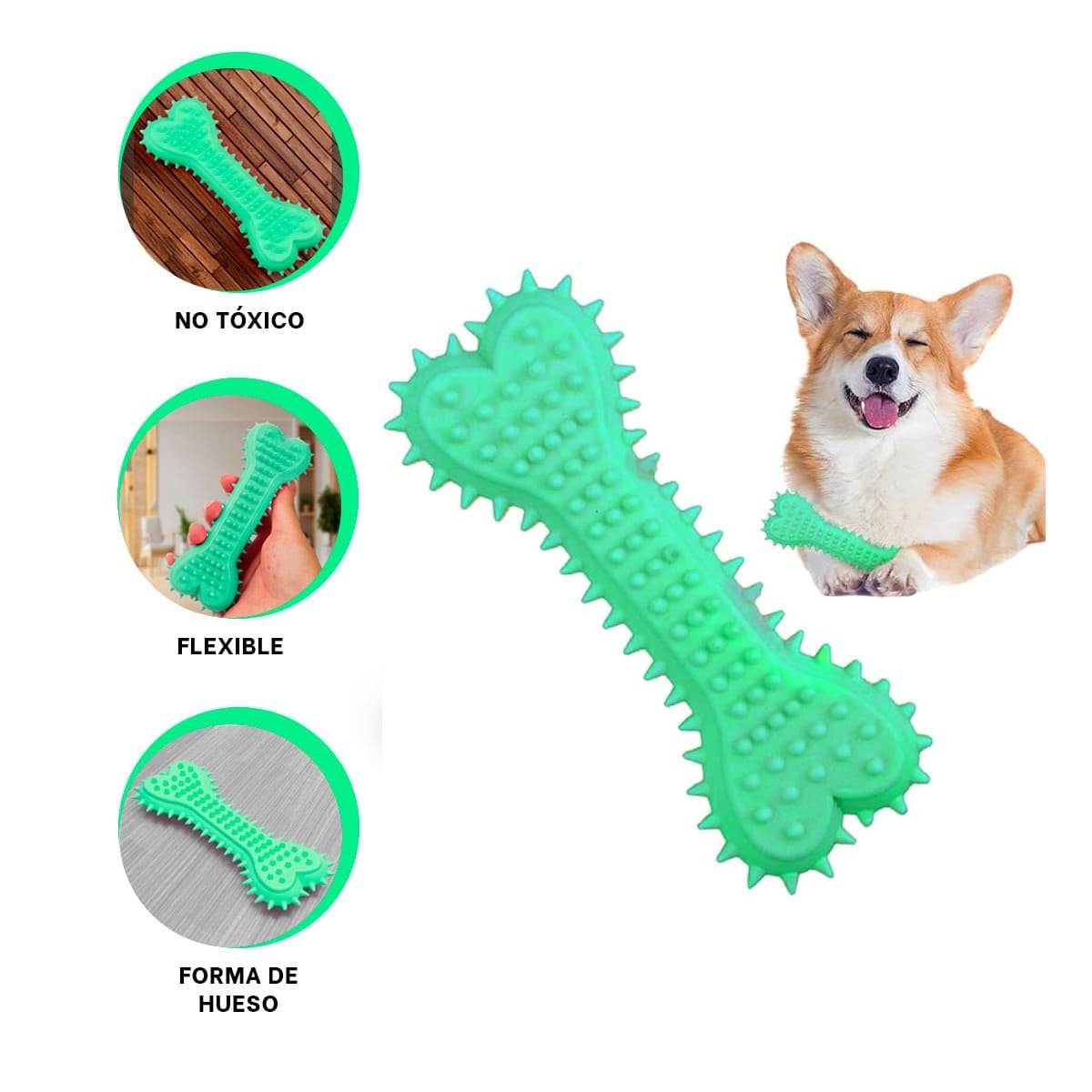 JUGUETE COMPACTO HUESO CON PUAS EN VERDE AGUA PARA CONTROL DE ZONA CANINA YREGALO STICKER - 1