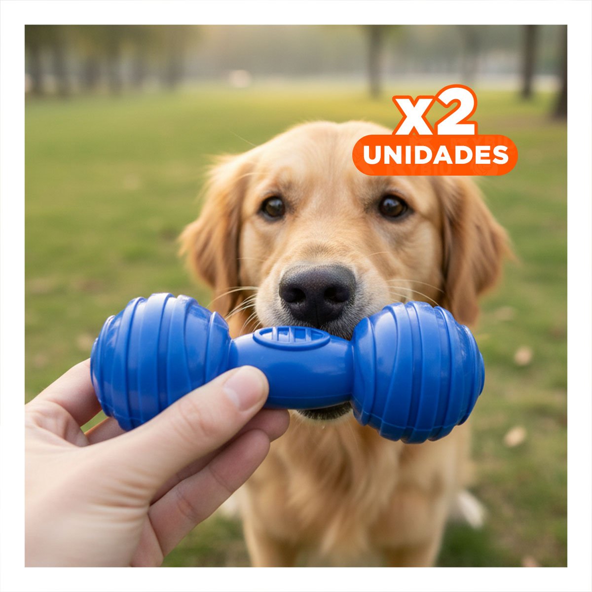 PACK2 MORDEDOR HUESO CON BOLAS A RAYAS EN COLOR AZUL EN ACTIVIDADES DE MASCOTA ACTIVA - 1