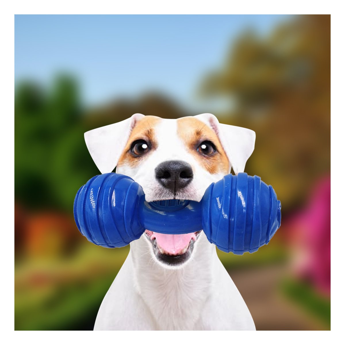 JUGUETE CANINO HUESO CON BOLAS A RAYAS EN COLOR AZUL EN AMBIENTES BIEN DELIMITADOS YSTICKY - 3