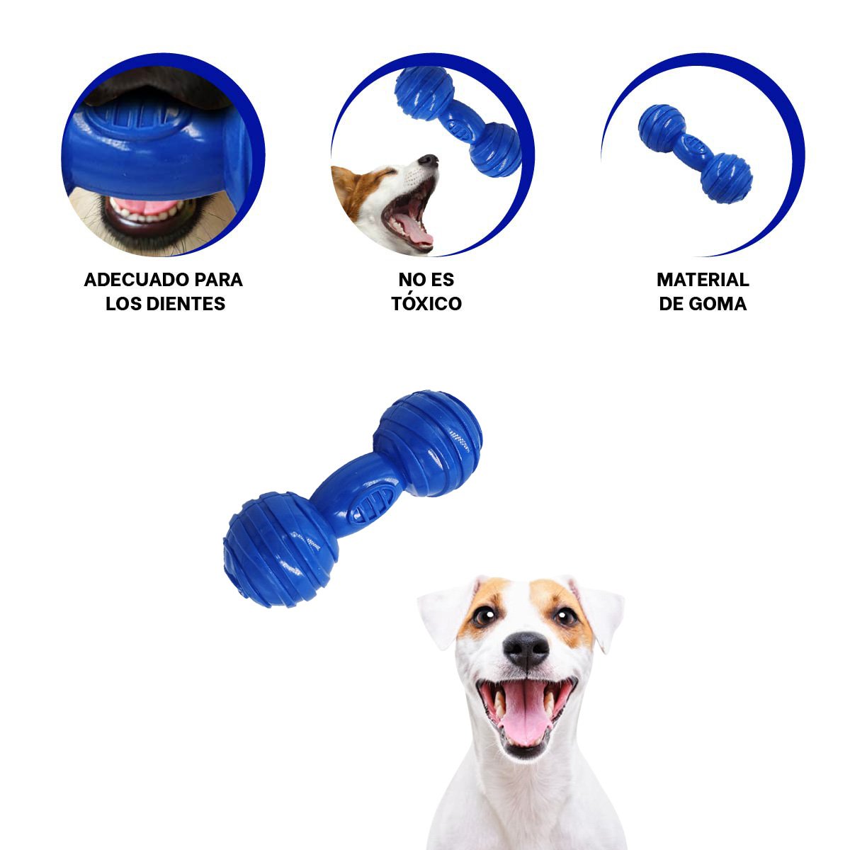 JUGUETE CANINO HUESO CON BOLAS A RAYAS EN COLOR AZUL EN AMBIENTES BIEN DELIMITADOS YSTICKY - 5