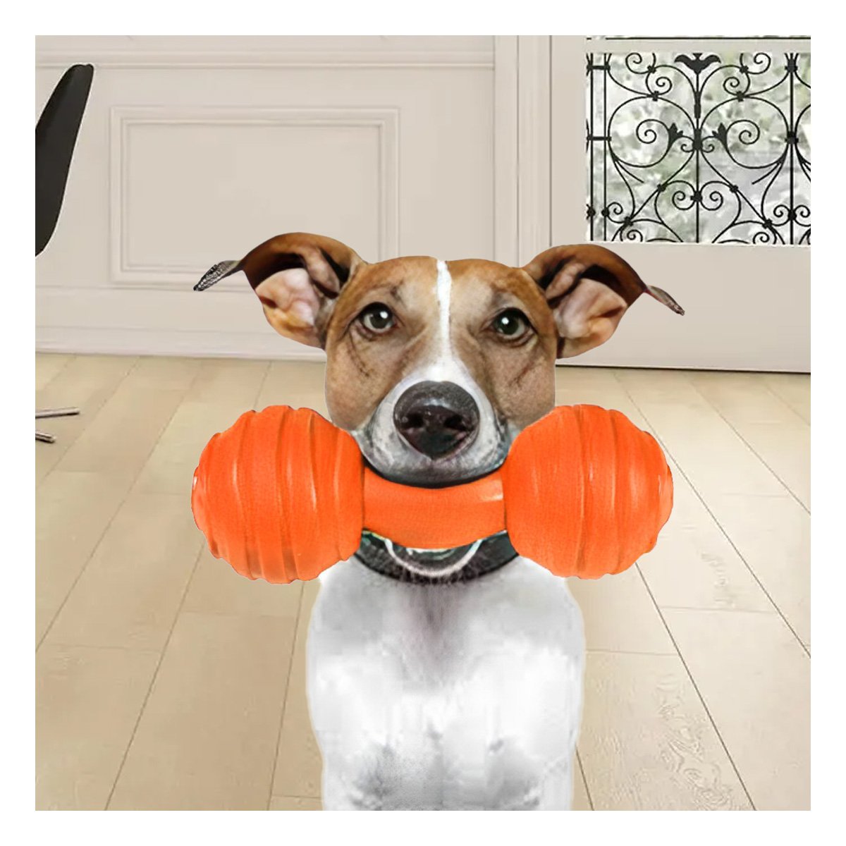 PACK2 MORDEDOR HUESO CON BOLAS A RAYAS EN COLOR NARANJA EN ACTIVIDADES DE MASCOTA ACTIVA - 5