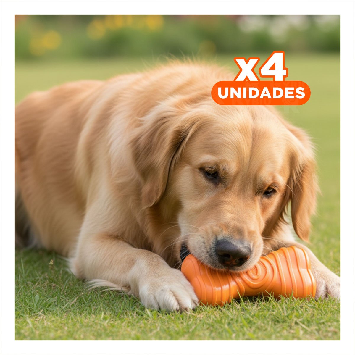 PACK4 ELEMENTO EN NARANJA EN FORMA HUESO CON RAYAS CON PRESENCIA DISCRETA YREGALO STICKER - 1